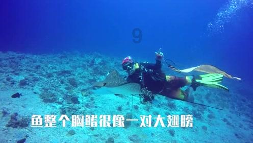 海岛冲浪